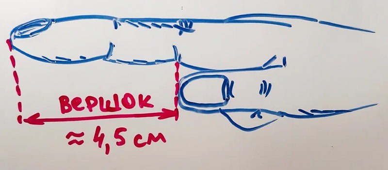 scale_1200.jpg