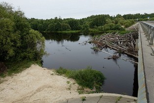 Бревна ТП.JPG