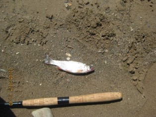 IMG_0884.JPG