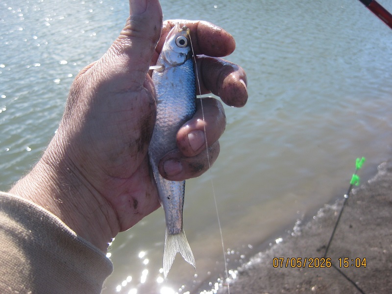 IMG_1426.JPG