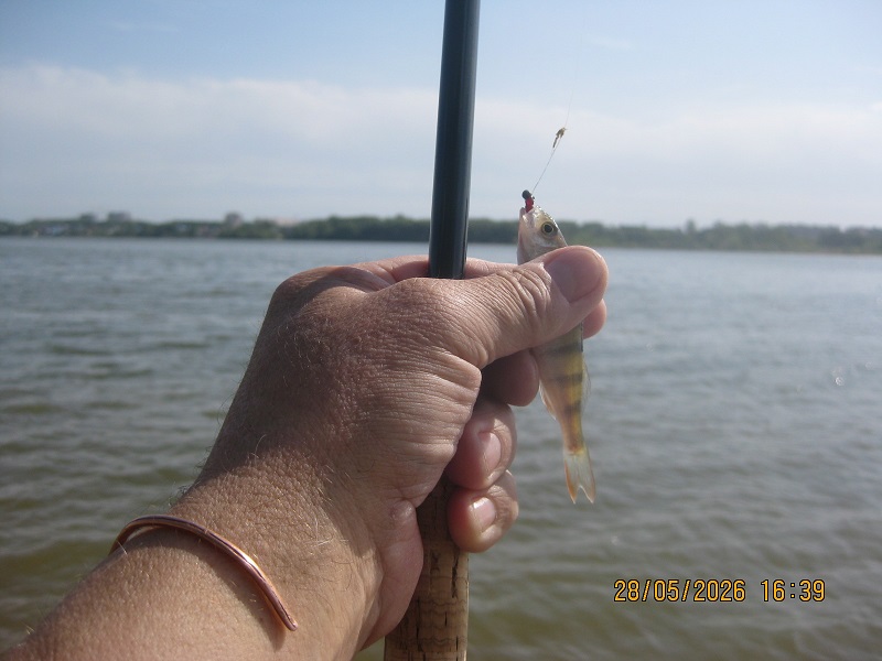IMG_1430.JPG