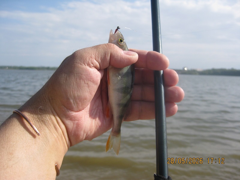 IMG_1432.JPG