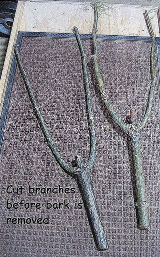 Raw cut Tamo Branches.JPG