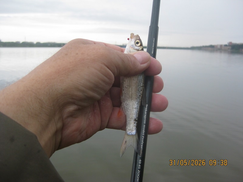 IMG_1433.JPG