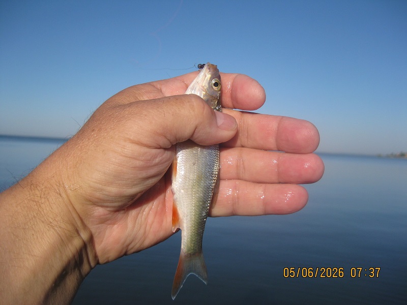 IMG_1439.JPG