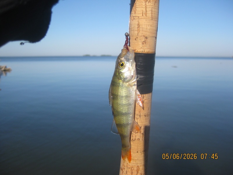 IMG_1442.JPG