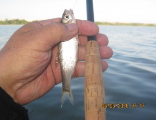 IMG_1447.JPG