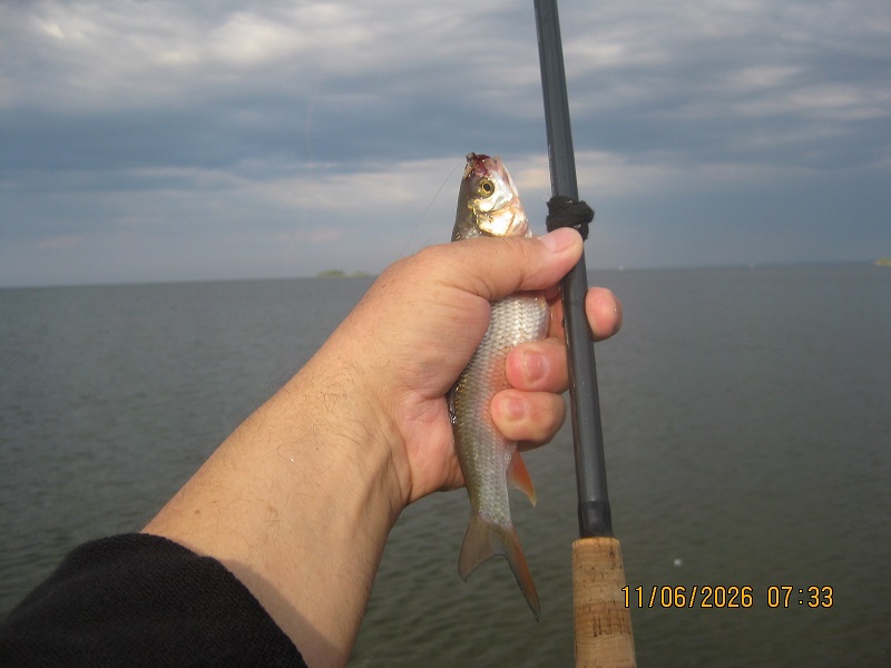 IMG_1460.JPG