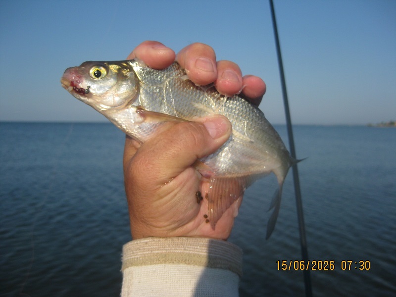 IMG_1481.JPG