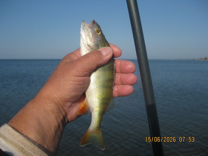 IMG_1485.JPG