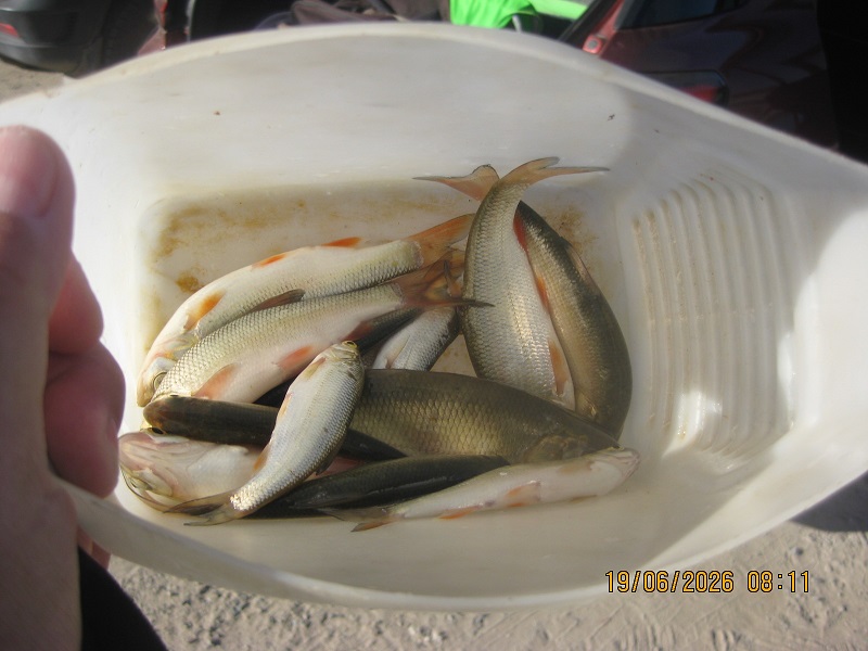 IMG_1499.JPG