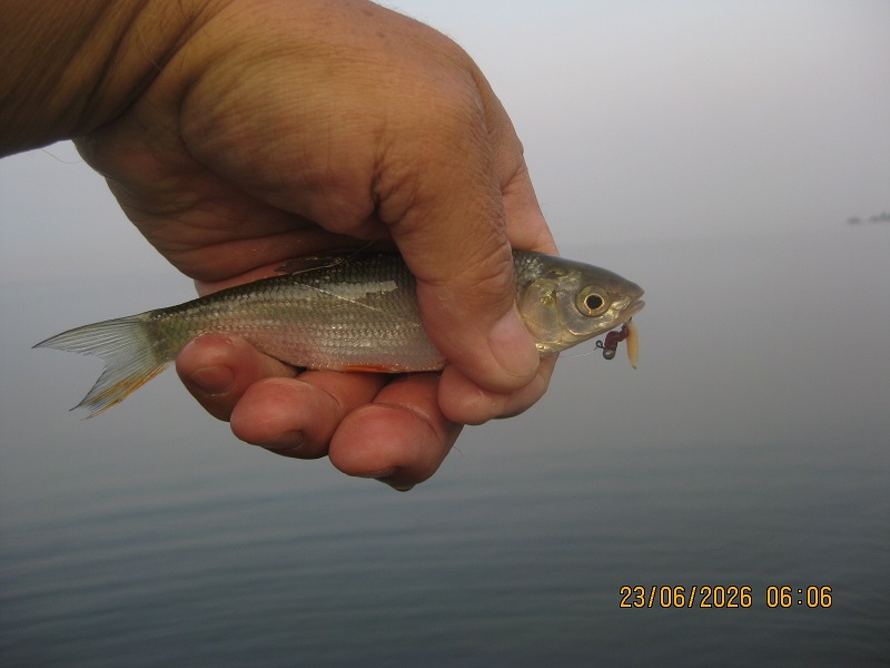 IMG_1500.JPG
