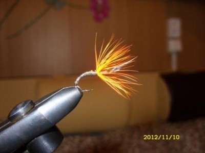 SDC11029.JPG