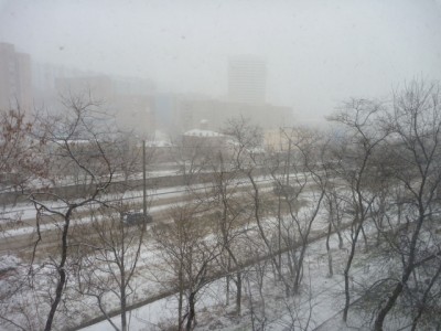 P1030394.JPG