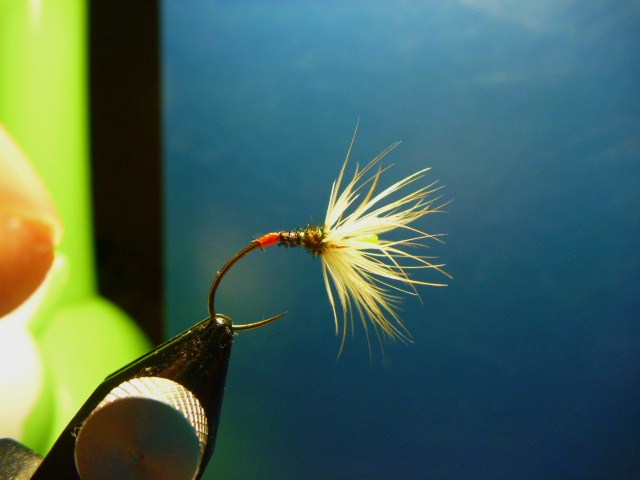 P1030433.JPG