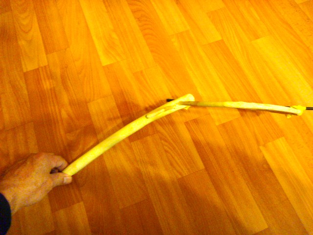 P1030479.JPG