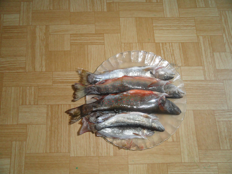 Мальмушка и кунжушка на жарешку.jpg