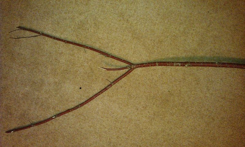 IMAG0390.jpg