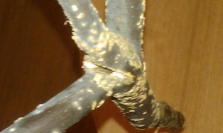 IMAG0487.jpg