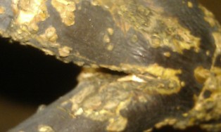 IMAG0488.jpg