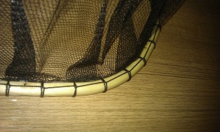 IMAG0543.jpg