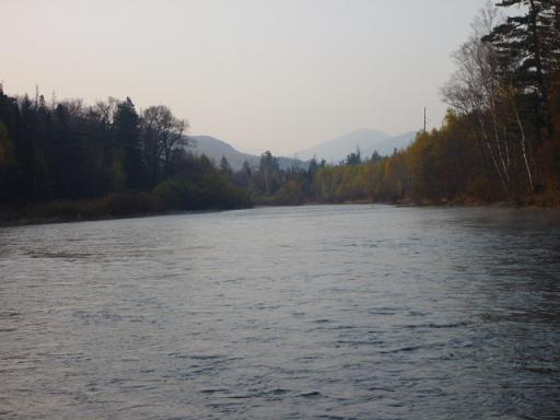 P1010394у.jpg