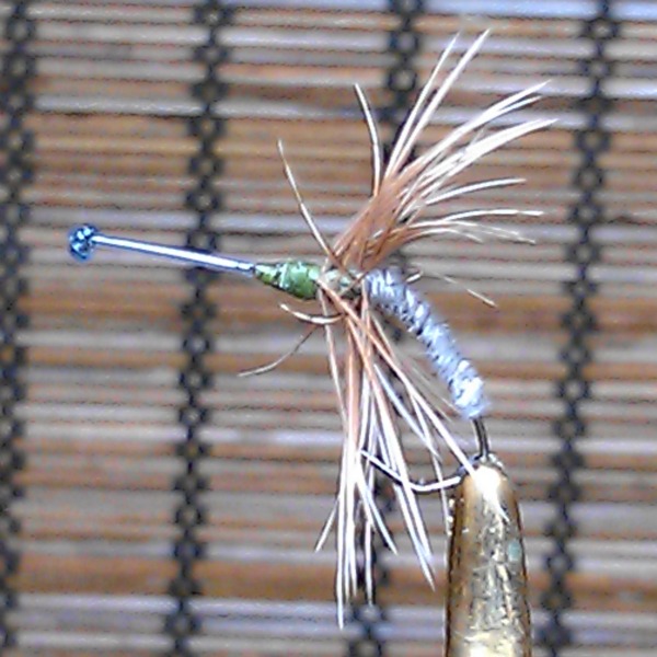 IMAG0653.jpg