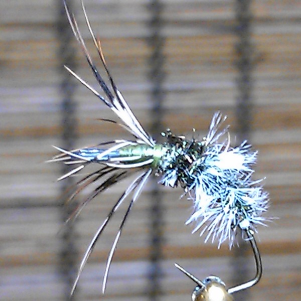 IMAG0657.jpg