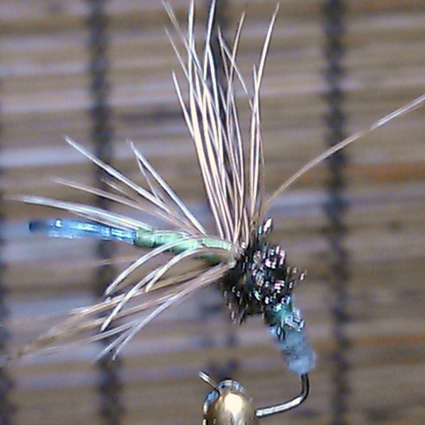 IMAG0659.jpg