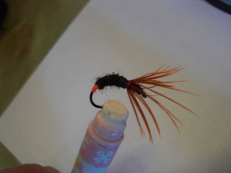 SDC10866_thumb.jpg