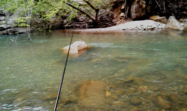 IMAG0012.jpg